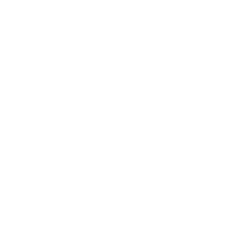 Icon Einbruchschaden